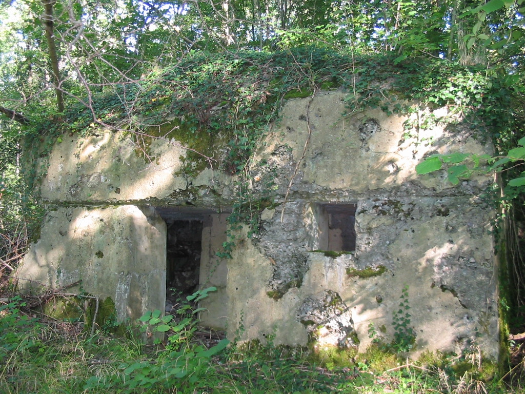 Poste téléphonique Camp d'Artillerie Forêt de Spincourt.jpg